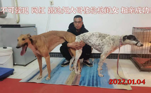 网红X小左轮 900115000696651.jpg