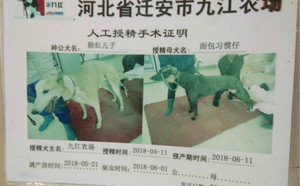 脸红129DX面包习惯仔 FBMB100B.jpg