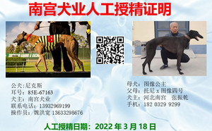 尼克斯X900115000990098.jpg