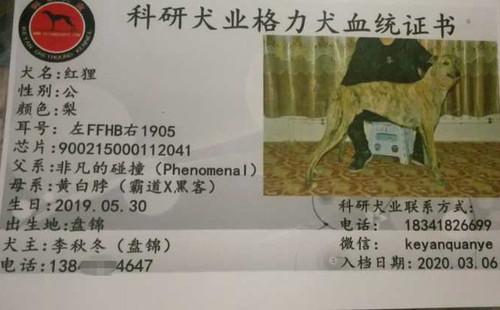 红狸 900215000112041，FFHB1905