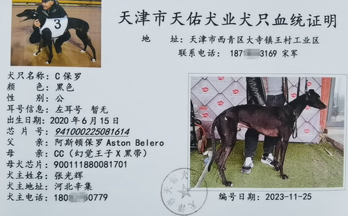 C保罗 941000225081614