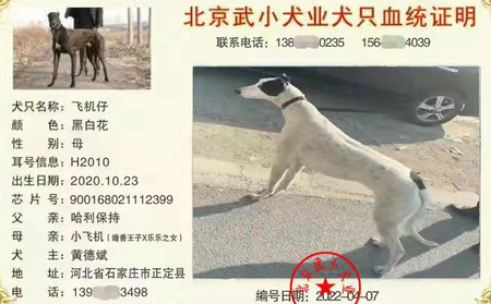 飞机仔 900168021112399