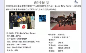 托尼X诺里公主 900115000929277.jpg