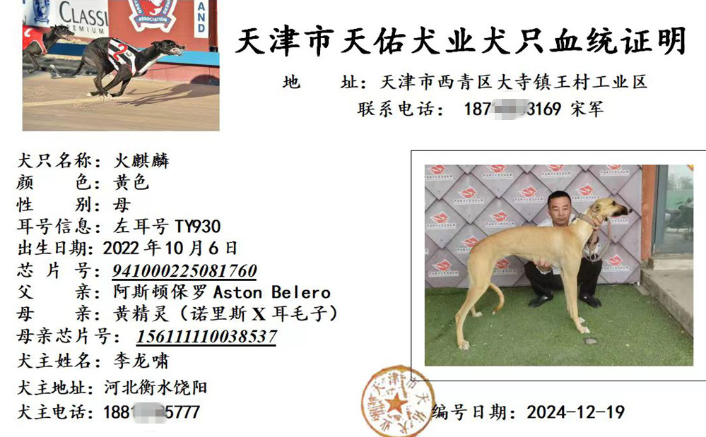 火麒麟941000225081760，TY930.jpg