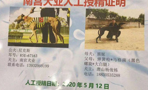 尼克斯X黑妮 900215001626874，J611C.jpg
