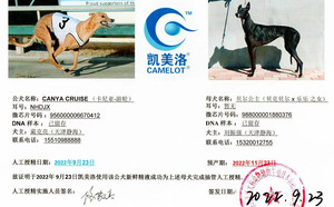 卡尼亚游轮X静海刘振强的贝克公主988000001880376（2022年9月23日配）.jpg