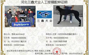 喷射X尤丽 900155000057403，H1708.jpg