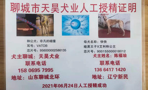 非凡的碰撞X快快 900155000018012.jpg