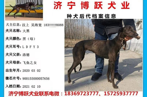 大黑 900155000057656，LDFY3