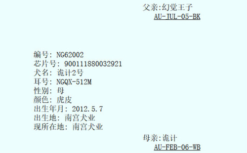 诡计2号 NGQX 512M，900111880032921