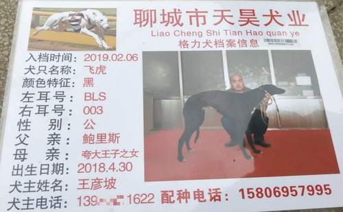 飞虎 900155000037107，BLS003