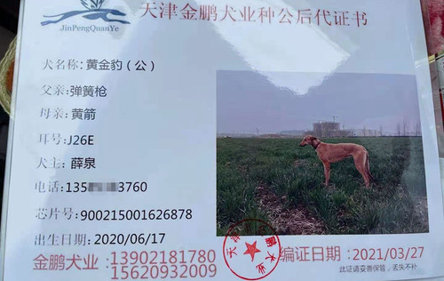 黄金豹 900215001626878，J26E