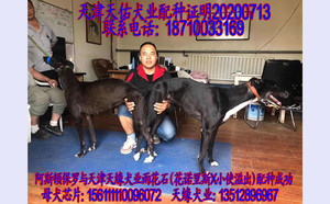 阿斯顿保罗X雨花石 156111110096072.jpg