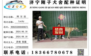 阿尔法Xlucky 900255000488671.jpg