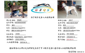 黑金刚X花布丁 900215007019949.jpg