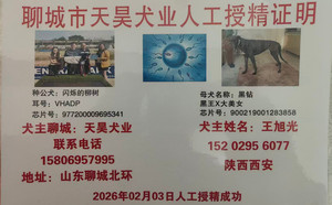 闪烁的柳树X黑钻 900219001283858.jpg