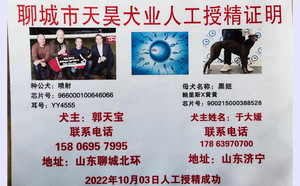 喷射X黑妞 900215000388528，0045A.jpg