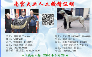 追踪者X大白财 990000015146040，T9Y04.jpg