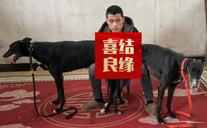 魔法枪X妞妞 900111881636535.jpg