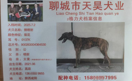 狸喷射 900263004364530