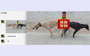 大游轮X海燕 900215003713509.jpg