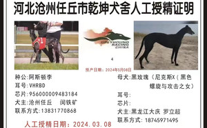 阿斯顿李X黑玫瑰 900215007521779.jpg