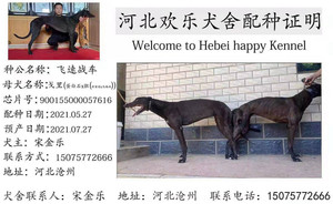 飞速战车X戈里900155000057616.jpg