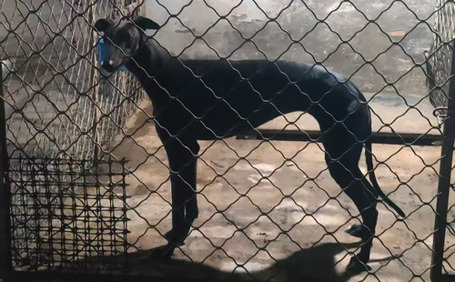 女孩 900255002679496