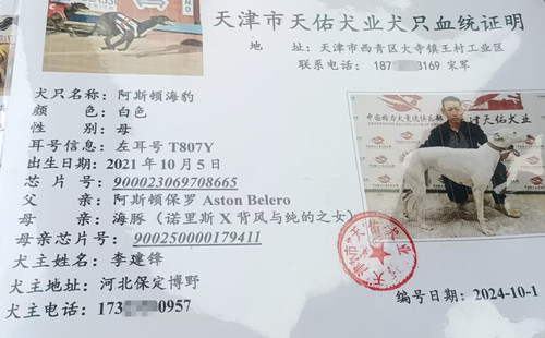 阿斯顿海豹 900023069708665，T807Y