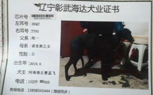 雷诺 900215000132374，HDQYTYNS