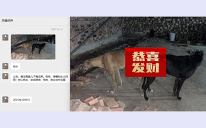 魔法黑X玛丽 156111110095943，J97B.jpg