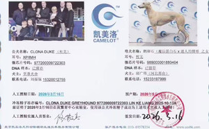 杜克X鹅卵石 988000001880404.jpg