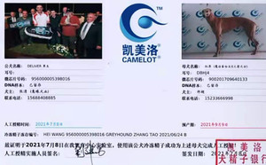 黑王X红果DBHJ4,900201709640133.jpg