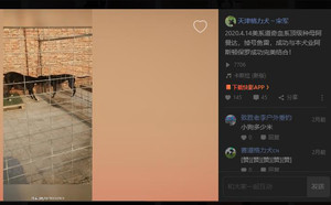 阿斯顿保罗X阿曼达 Amanda Bynes，36F 68264，988000001880001.jpg