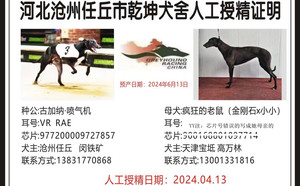 古加纳喷气机X疯狂的老鼠 900168801097702.jpg