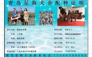 超级加农炮X海浪公主 156111110029513.jpg