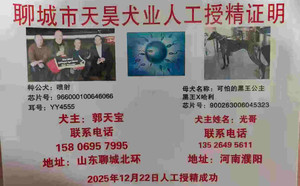 喷射X可怕的黑王公主 900263006045323.jpg