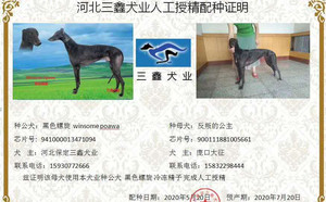黑色螺旋X反叛的公主 S1097 77P，900111881005881.jpg