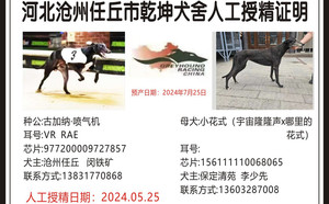 古加纳喷气机X小花式 156111110068065.jpg