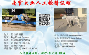 野性的碰撞X纯的小鹿 990000006890791.jpg