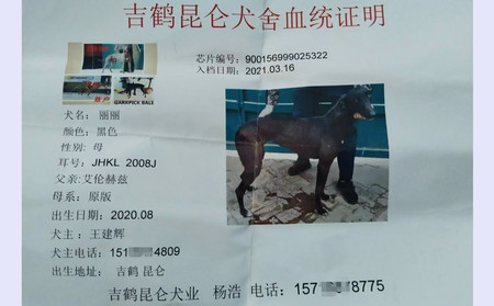 丽丽 900156999025322