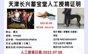 黑王X黑妮 900215001626874，J611C.jpg