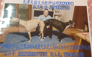 阿斯顿保罗X波波 LKZM 1405B，900250000179301.jpg