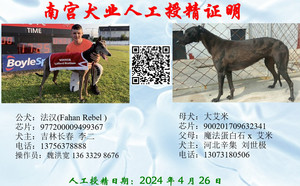 法汉X大艾米 900201709632341.jpg