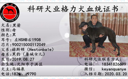 黑箭 900215000112049，HSHB1908