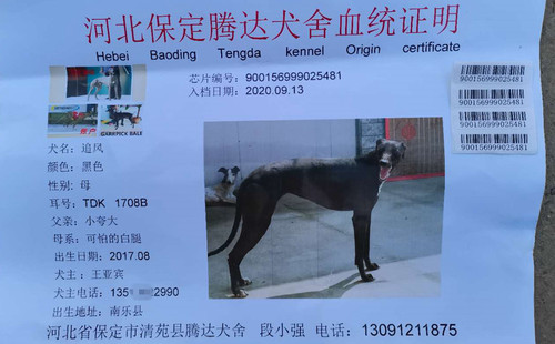 追风 900156999025481，TDK1708B