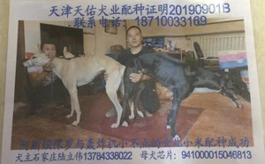 阿斯顿保罗X小米 HZXB 0078T，941000015046813.jpg