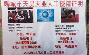 喷射X鲍斯幻想 TY520，941000225080576.jpg