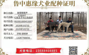 踏雪隆隆声X幻觉007 992001000453007.jpg