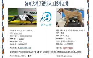 赫斯顿X天珠 900215009666663.jpg